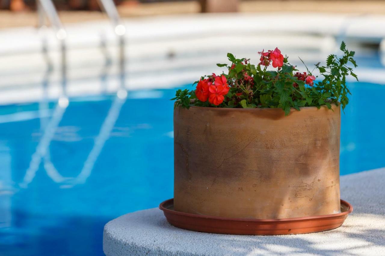Casita Las Malvinas En Villa De Nijar Con Piscina 외부 사진